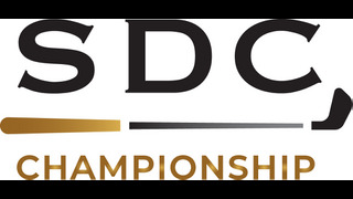 SDC_Positive_RGB (image)