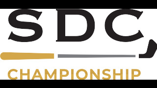SDC_Positive_RGB (image)