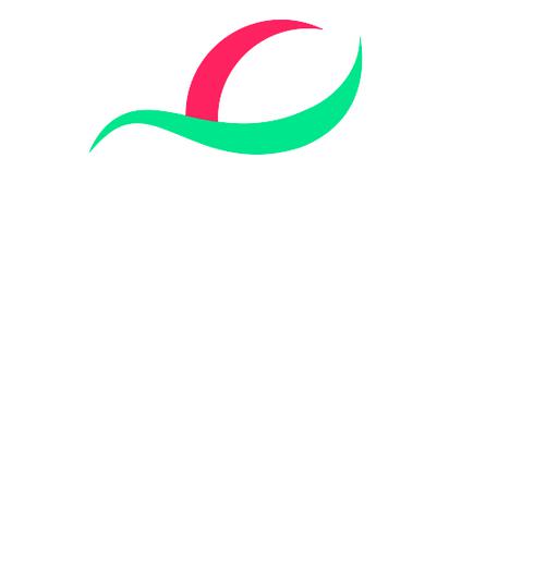 Media 112410 image