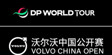 DPWT_VCO_Tournament Lockup_NEG_RGB (image)