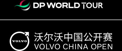 DPWT_VCO_Tournament Lockup_NEG_RGB (image)