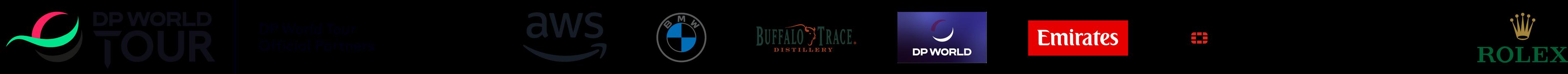 DPWT_AWS_Sponsor Strip_POS_RGB (image)