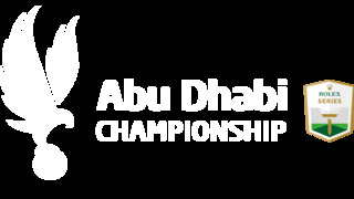 AD_Championship_RS_Primary_NEG_RGB (image)