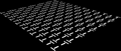 MyTour_Pattern_Perspective-RGB-NEG (image)