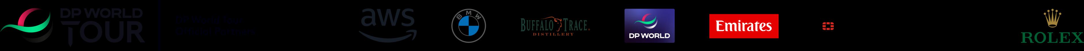 DPWT_AWS_Sponsor Strip_POS_RGB (image)