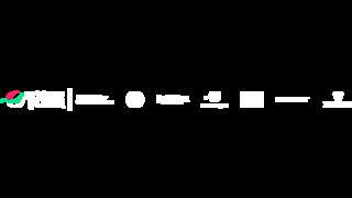 DPWT_Sponsor_Strip_NEG_RGB (image)