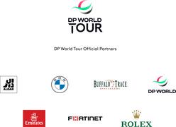 DPWT_Sponsor_Strip_Stacked_POS_RGB (2) (image)