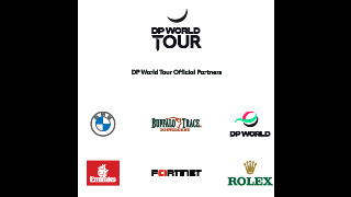 DPWT_Sponsor_Strip_Stacked_POS_RGB (image)