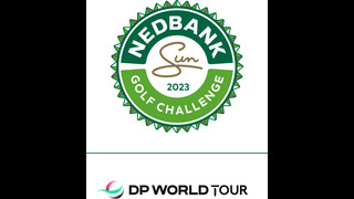 DPWT_Nedbank_2023_Positive_RGB (image)