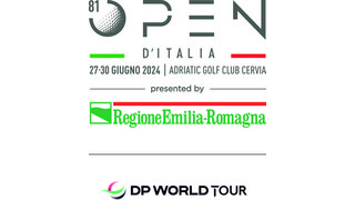 DPWT_FIG Open_Grey_CMYK (image)