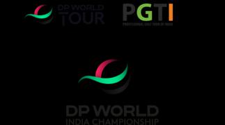 DPWIC_Primary_POS_PR_RGB  (image)