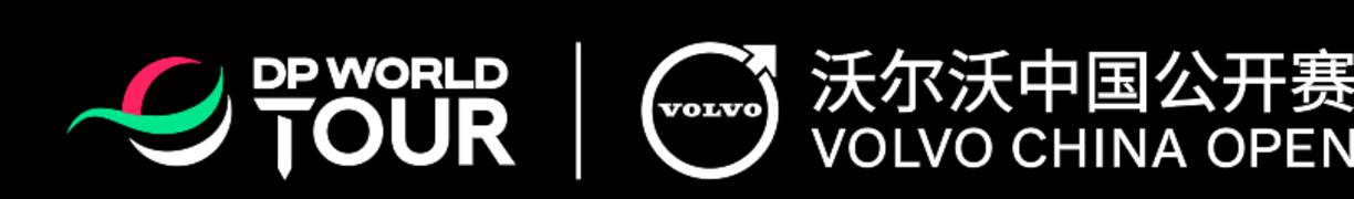 DPWT_VCO_Alternative Tournament Lockup_NEG_RGB (image)