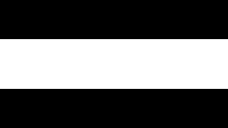 HPT_OfficialPartner_RGB_Neg (image)