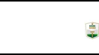 AD_Championship_RS_Primary_NEG_RGB (image)