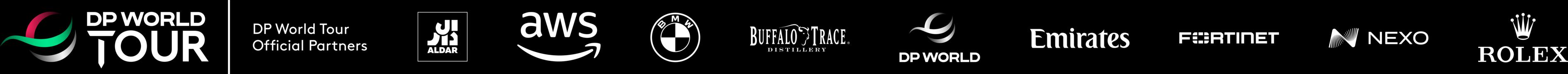 DPWT_AWS_Sponsor Strip_NEG_RGB (image)