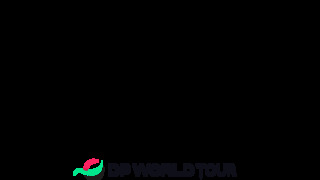 DPWT_Hainan Classic_RGB_Black (image)