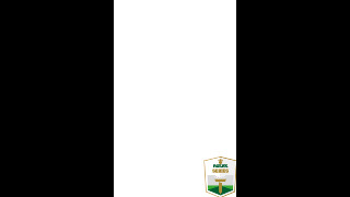 AD_Championship_RS_Secondary_NEG_RGB (image)