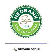 Upload_Nedbank_DPWTC Press header 2.jpg